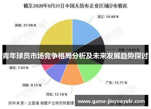 青年球员市场竞争格局分析及未来发展趋势探讨
