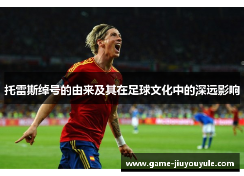 托雷斯绰号的由来及其在足球文化中的深远影响